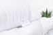 Набір Aloe Vera Ковдра для літа + подушка
